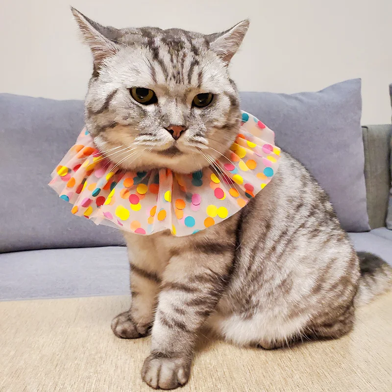 PETCIRCLE одежда с принтом в виде собак красочная пряжа нагрудник подходит маленькая