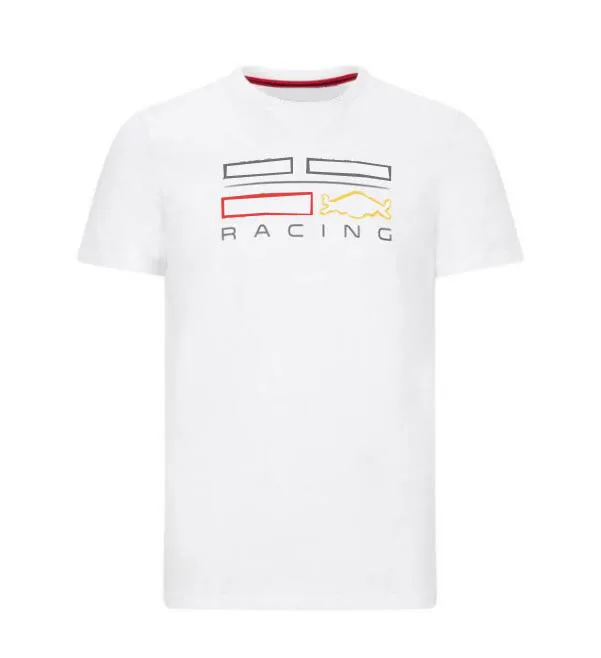 

2021 F1 racing short sleeve, F1 team downhill jersey, polyester quick-drying T-shirt, the same style is customized
