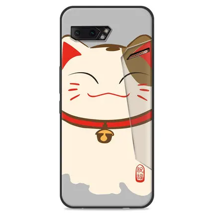 A19 Для Asus ROG Phone 2 ZS660KL чехол мягкий силиконовый защитный AsusROG Phone 2 II Тонкий чехол для Asus ROG2 ZS660KL - Цвет: A19