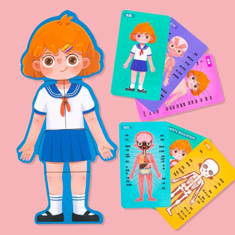 Малыш Boby познание игрушка Монтессори человеческого тела Структура головоломка в