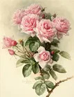 Набор для вышивки крестиком, 14 карат, с романтическими розовыми розами