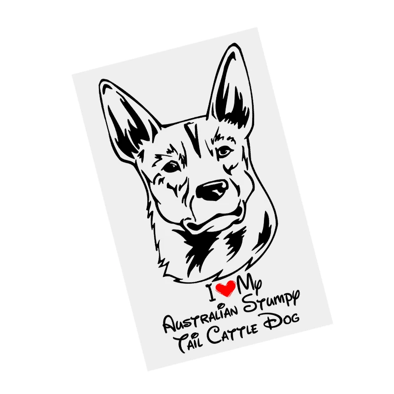 наклейки на авто Австралийская короткохвостая пастушья собака  наклейка черная виниловая наклейка водостойкая мотоциклетная наклейка на бампер прозрачный фон