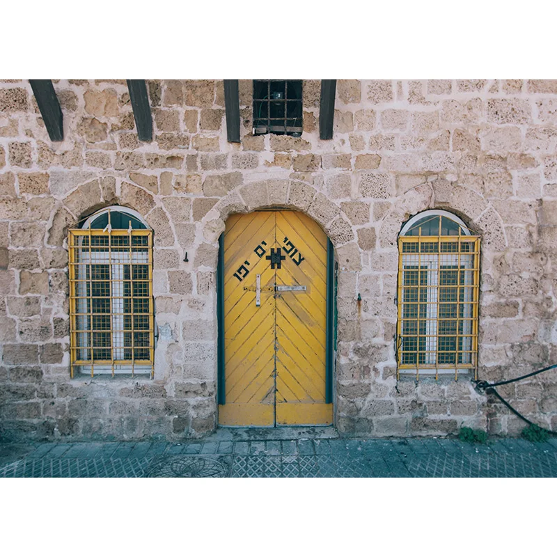 

Vinyl Custom Photography Backdrops Prop Classical Wooden doors Theme Photography Background GD20518 -03