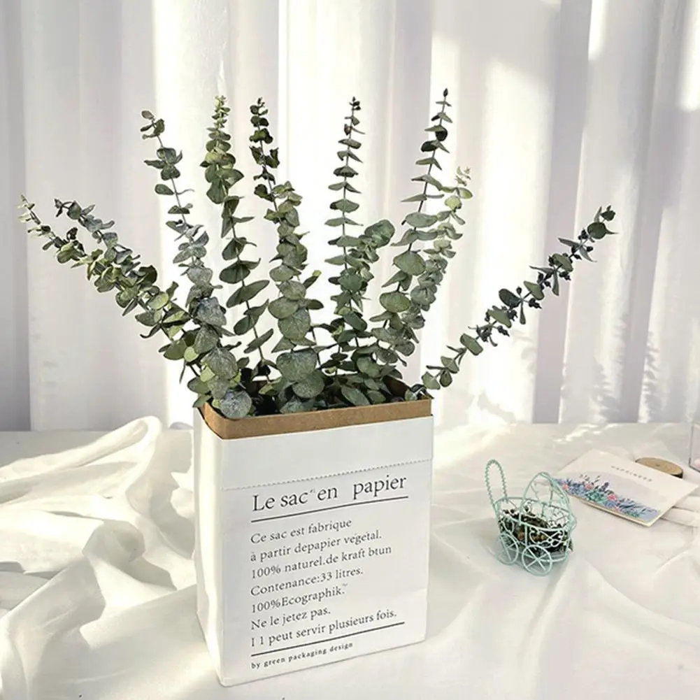 

Natural Dried Flowers Eucalyptus Leaf Artificial Plants Decoration Green Supplies Party Diy Bouquet Wedding Preserved Home W7W7