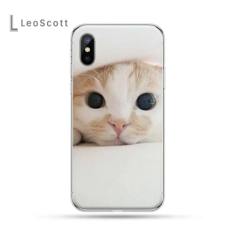 

cat animal lovely mobile shell Phone Case For iphone 12 5 5s 5c se 6 6s 7 8 plus x xs xr 11 pro max