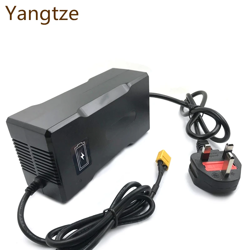 Yangtze Bateria 16 8 вольт источник питания 10A 9A 8A скутер литий ионный аккумулятор для