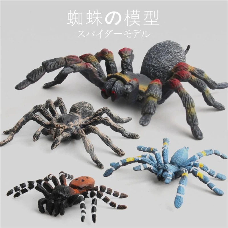 

Model Simulated Spider Toys Educational Science Toy For Kids Children Mini Doll Decoration Collection Figurine Toys model