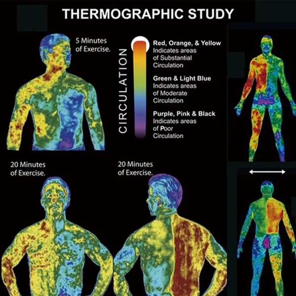 

10Pcs/Bag Slimming Cream Sweat Lose Weight Accelerate Muscle Activity Cream THJ99