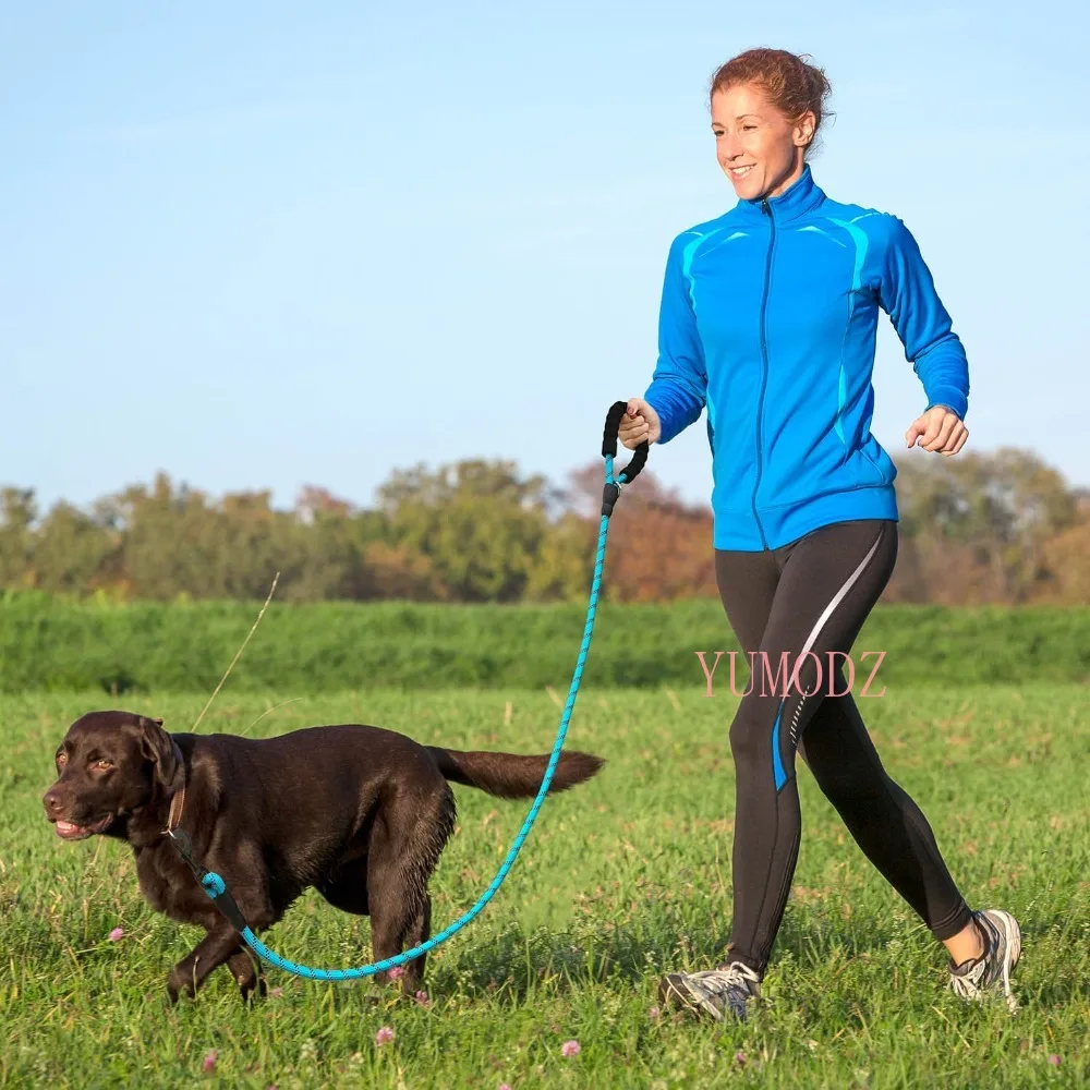 

Reflective Large Dog Leash Nylon Rope Pet Running Tracking Leashes Long Lead Dog Mountain Climbing Rope For Medium Large Big Dog
