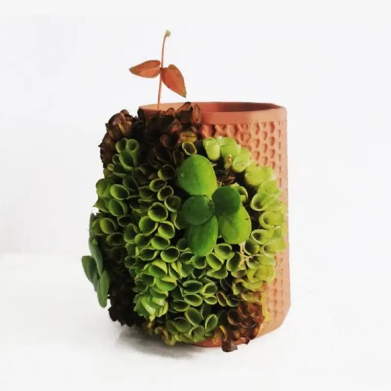 Само цветочный горшок с системой полива Керамика цветочные горшки для