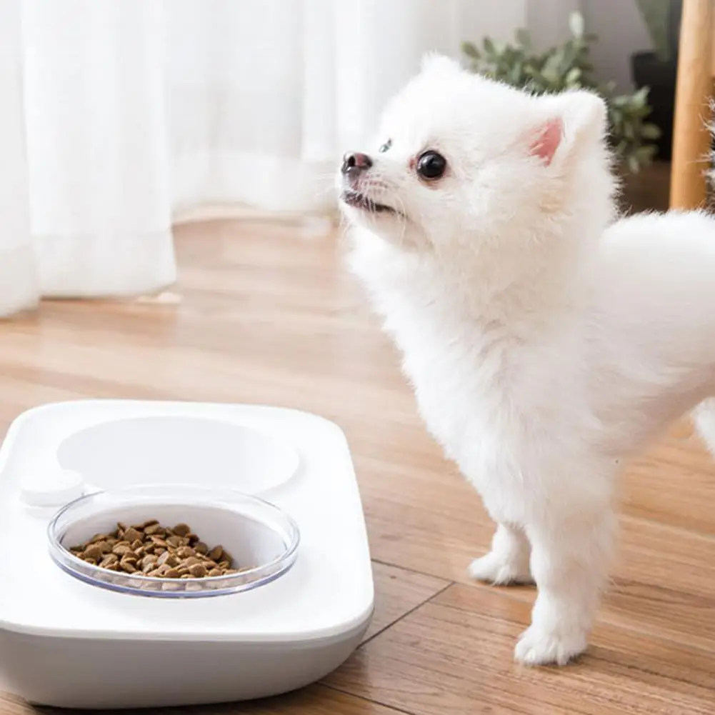 Двойная миска для домашних животных пластиковая кошек и собак пищевая питье