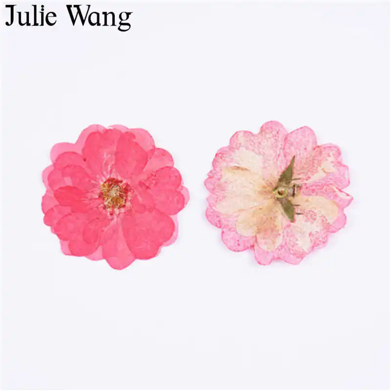 Julie Wang 8 шт. натуральные сухие цветы китайская Роза образец растения эпоксидные