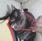 1 шт. массажный инструмент для кошек тонкий массажер лица ног уход за здоровьем