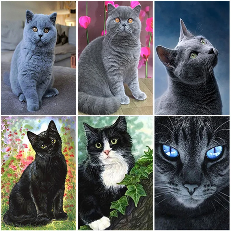 

5D DIY Diamond Painting Black Cat Full Square/Round Drill Diamond Embroidery Cross Stitch Picture of Rhinestones Handcraft Decor