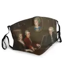 Семейный портрет Моцарта для взрослых, унисекс, классическая музыка, музыканты, композитор, Обложка, респиратор, Муфель для рта