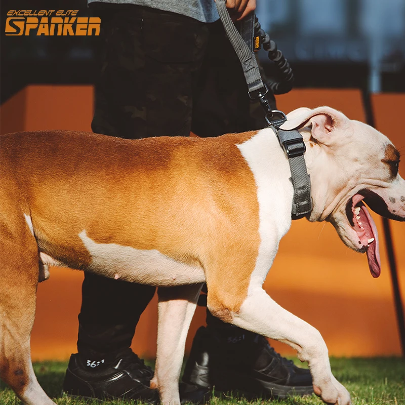

EXCELLENT ELITE SPANKER Pet Collars Dog Collar Adjustable Buckle Outdoor Dog Training Collars for Large Medium Small Dogs