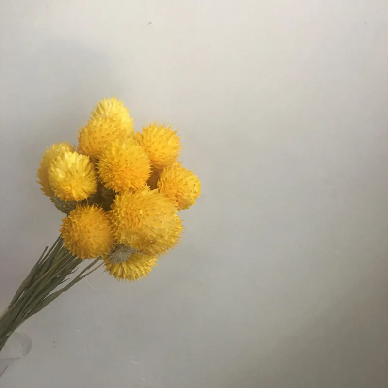 

Набор сухоцветов из ягод Rotagng 10 шт