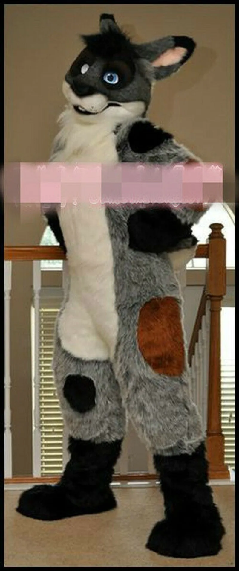 

Adults Long Black Fursuit Husky Dog Mascot Costume Cosplay Party Dress Christmas Event Unisex Cartoon Apparel Cosplay Halloween