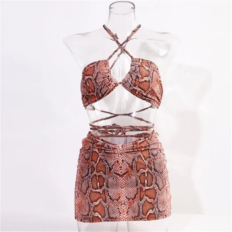 

Sexy Snake Print Swimsuit Bikini Mesh Skirt 3 Piece Set Summer Clothes for Women Beach Wear Vacation Outfits