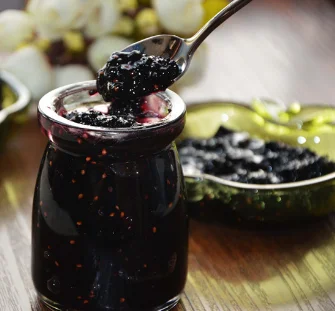 500 кг/час Multifunct измельчитель фруктов Электрический повидла экстрактор Bluecherry