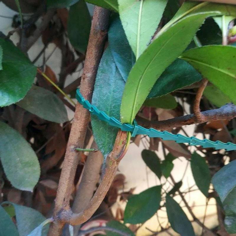 

Многоразовые садовые кабельные стяжки 20/50/100 шт., фиксатор для растений, крепеж для кустарников, нейлоновые регулируемые пластиковые кабель...