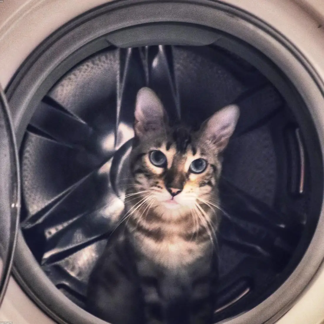 Гелевая ручка (Тест нового дашборда)|Гелевые ручки| |