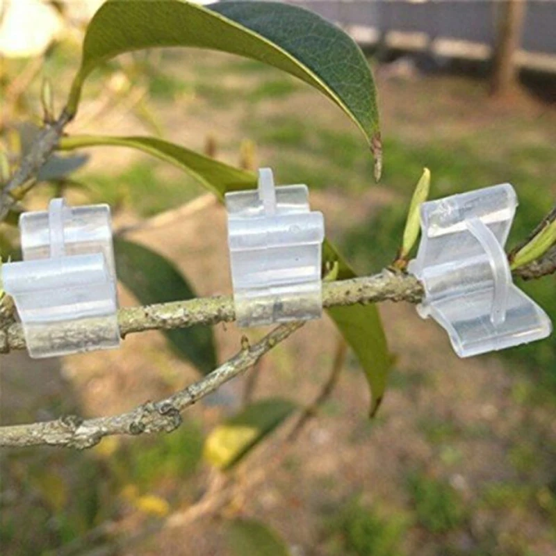 

50pcs/Pack Mini Transparent Plastic Grafting Clips For Garden Vegetable Flower