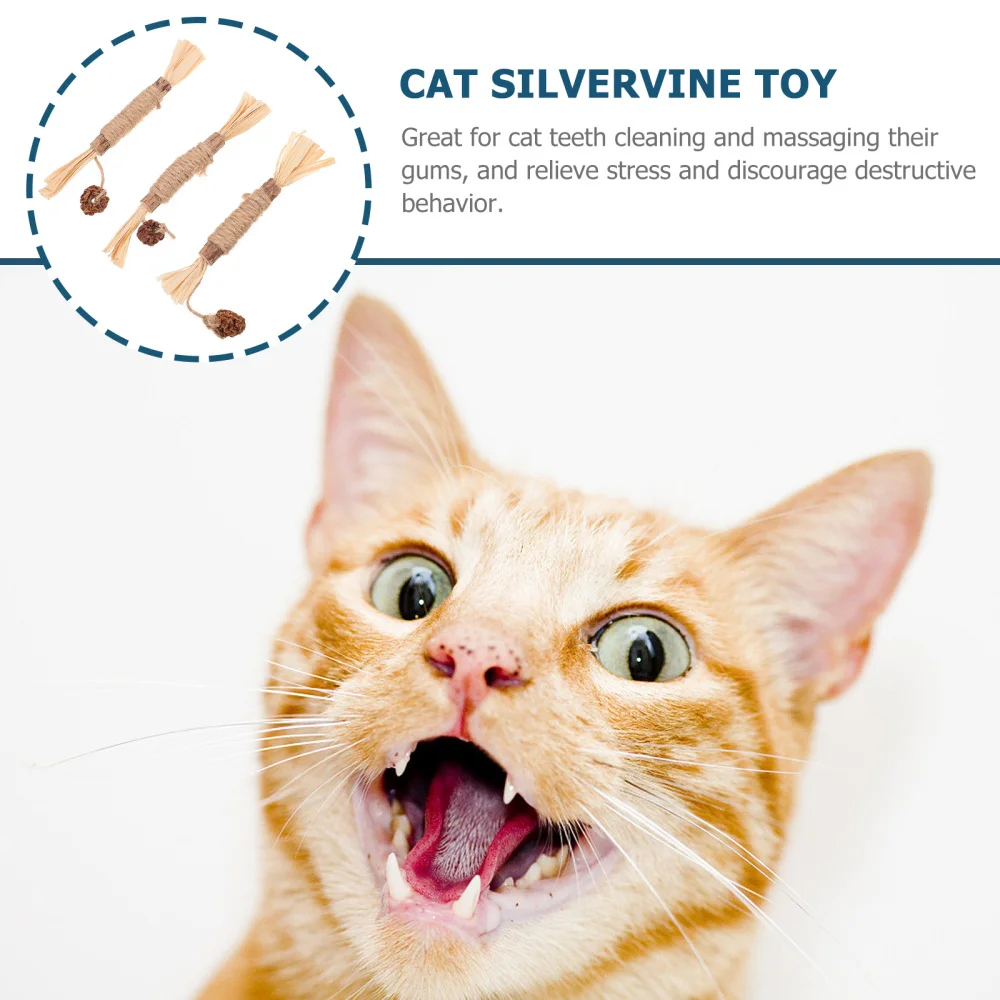 

3Pcs Silvervine Sticks Cat Teeth Cleaning Supply Kitten Chew Plaything