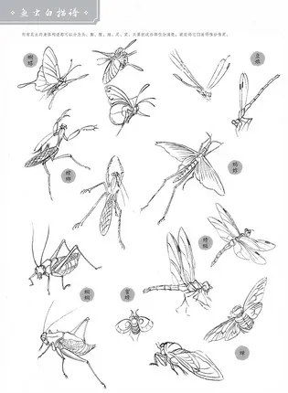 Китайская традиционная художественная живопись рисование книга персонажи Гонг