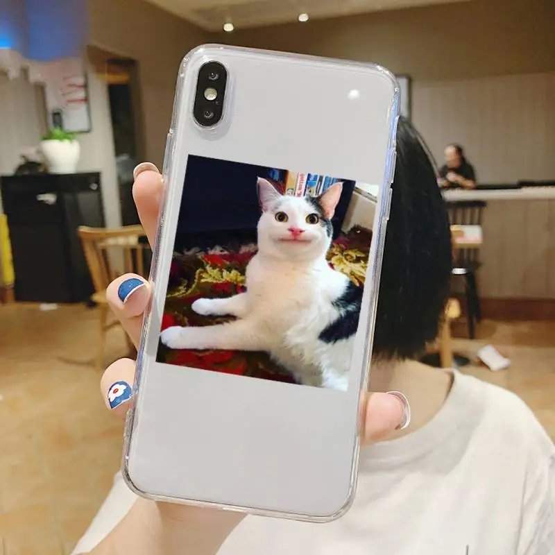 

cat Cute animal art design Phone Case Transparent soft For iphone 5 5s 5c se 6 6s 7 8 11 12 plus mini x xs xr pro max