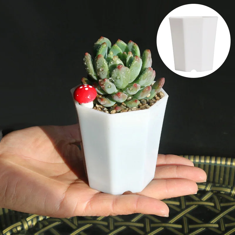 5 шт. простые универсальные восьмиугольная горшок суккулентные растения