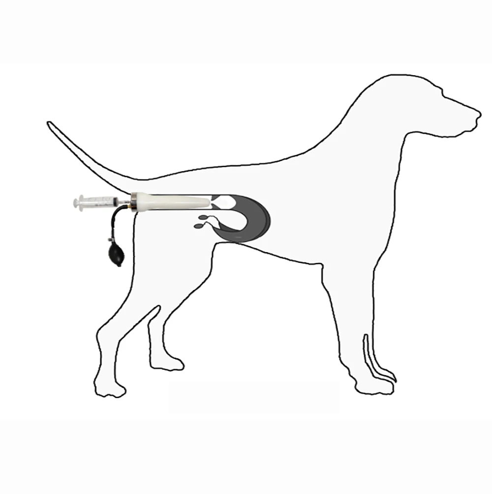 Dog Artificial Insemina Syringe Imitation Natural Mating Insemination Silicone Inseminating Infusion Tool | Инструменты