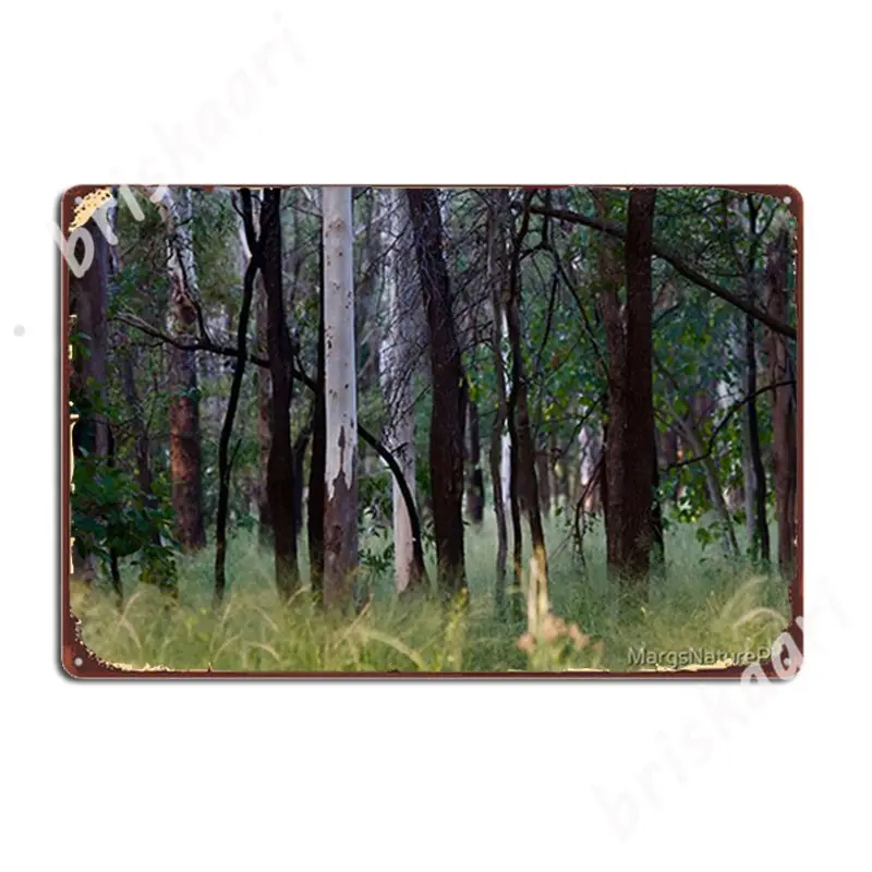 

Forest Walk Metal Signs Wall Cave Wall Vintage Wall Decor Tin sign Posters
