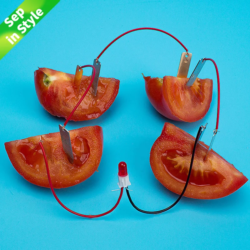 Горячая Распродажа био солнечной энергии науки комплект Картофель Фрукты подачи