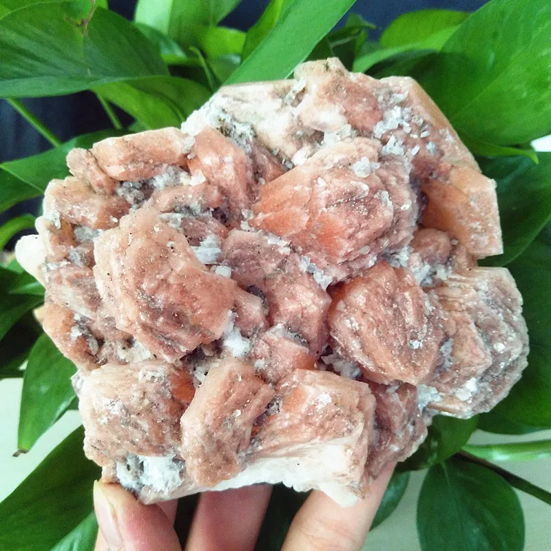 

Beautiful zeolite crystal mineral specimen family decorated with natural stone healing crystals