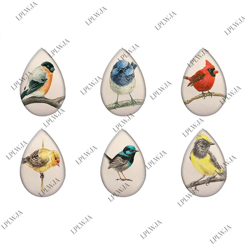 

LPLWJA Red Blue Yellow Feather Birds Painting Tear Drop Shape Glass Cabochon Printed Photo Demo Flat Back Making Jewelry Finding