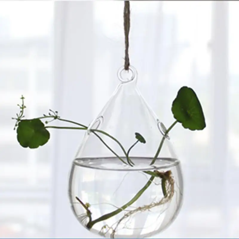 HobbyLane Hanging Transparent Glass Globe Plant Terrariums Succulents Moss Miniature Garden Planters Home Decor Gifts |