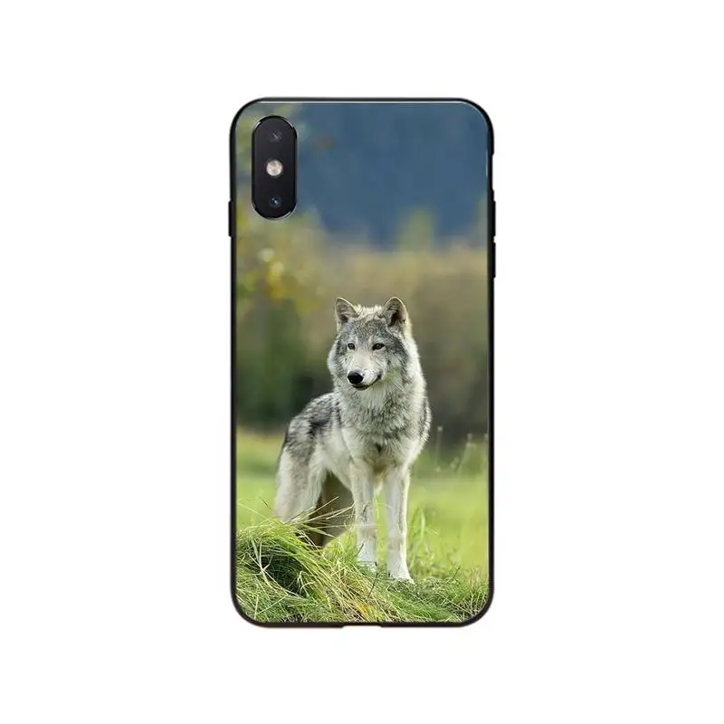 Чехол для Телефона iphone 12 7 8 Plus X XS Max XR чехол 5s SE 2020 6 6s 11Pro | Мобильные телефоны и