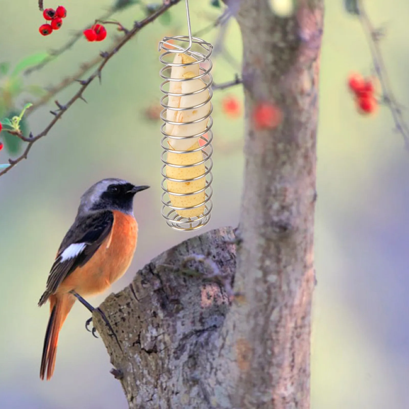 1/3 шт. попугай плоды вилкой для кормления птицы повесить клетка