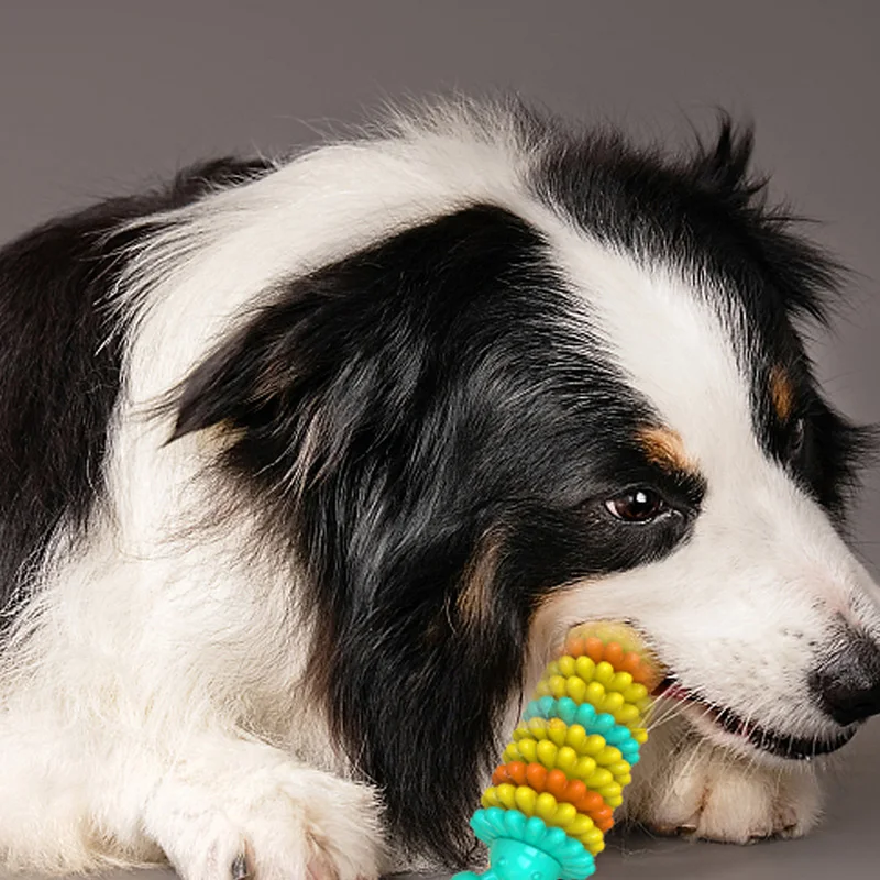 Новая жевательная игрушка гусеница для собак Жевательная палочка чистки зубов