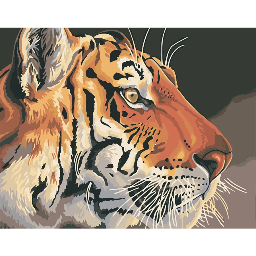 

AMTMBS Oil Acrylic Paints Tiger Pictures By Numbers Drawing On Canvas DIY HandPainted Painting By Numbers Wall Art Decor