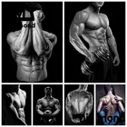 Набор для алмазной вышивки сделай сам, картина из страз для фитнеса, мужчин, сексуальная женская 5D Вышивка крестиком, мозаика с персонажами, украшение для дома, подарок