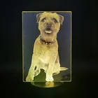 Милый ночсветильник светодиодный для домашних животных, собак, 3D USB ночсветильник, Бордер-терьер, акриловая настольная лампа, прикроватная, меняющая цвет, детский подарок на день рождения