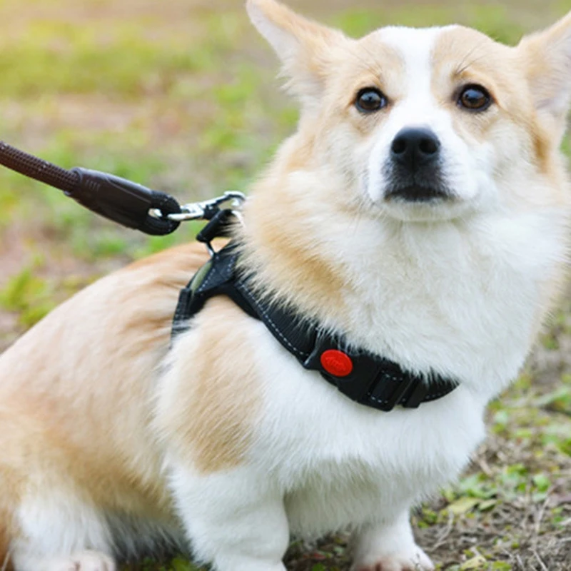 304 нержавеющая сталь поворотный крючок M5 зажим для подводного плавания