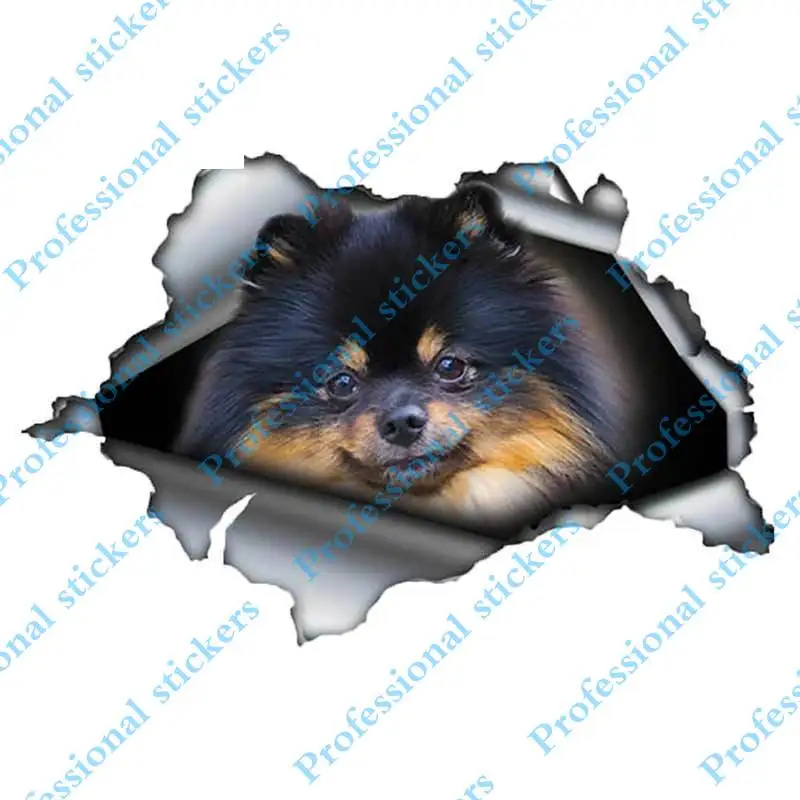 

Funny 13cm x 8.8cm Black and Brown Pom Car Sticker Torn Metal Decal Reflective Stickers Car Styling Pomeranian Decal