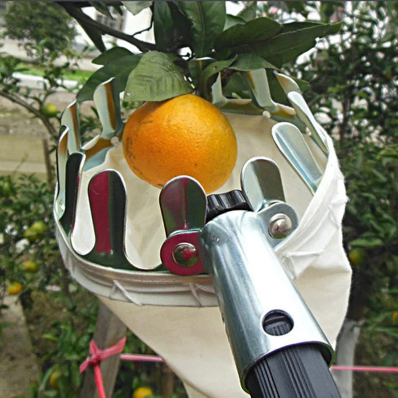 

Металлический инструмент для сбора фруктов, яблоки для сада, персики, инструмент для сбора высоких деревьев, Ловец фруктов, коллектор для сб...