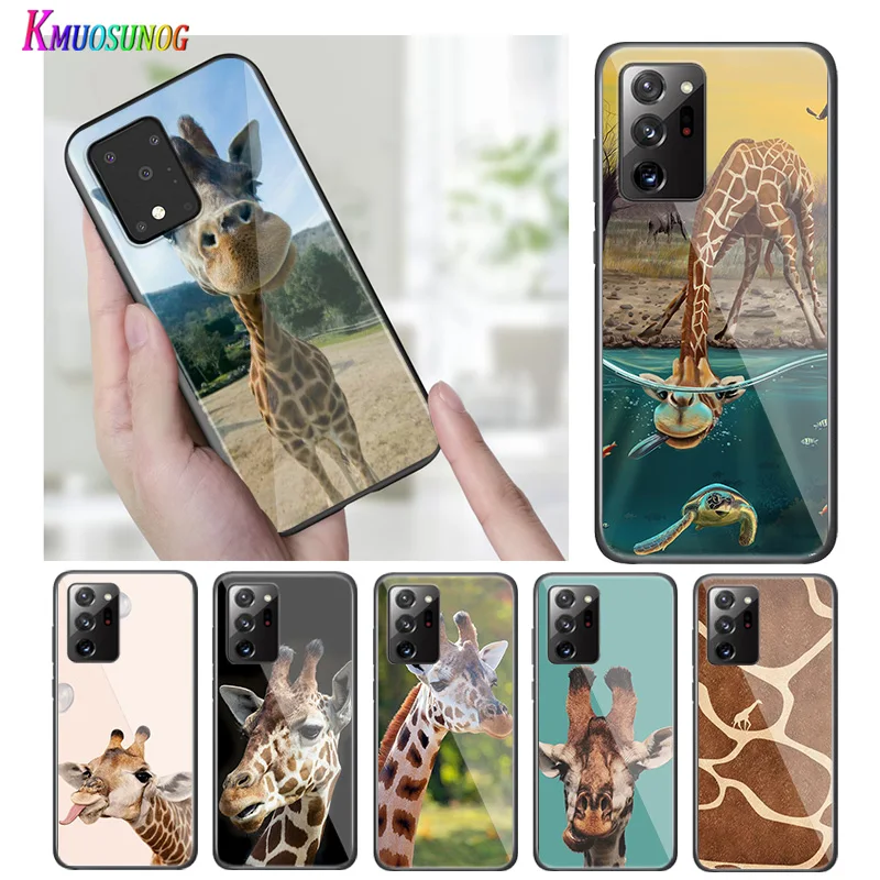 

Bright Black Cover Giraffes Cute Animal for Samsung S20 Ultra Plus A91 A81 A71 A51 A41 A31 A21 A21S A11 5G Phone Case