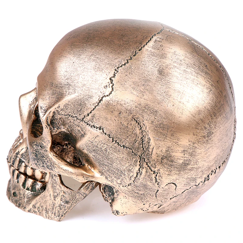 Bronze Resin Skull Model Painting Medical Sculpture Statue Crafts Halloween Home Decoration | Дом и сад