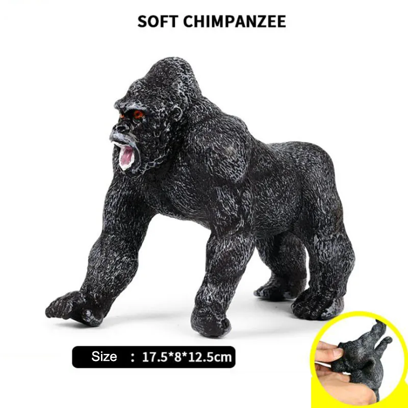 Детская Когнитивная симуляция научного образования статическая модель