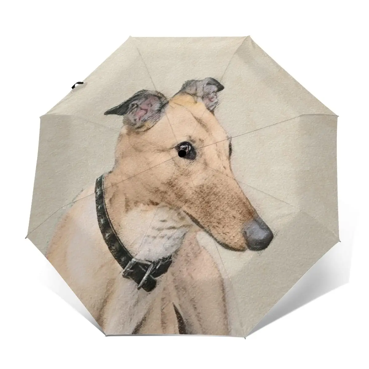 Greyhound Umbrella Windshield Home Umbrella Colorful Auto Design Lightweight Umbrella